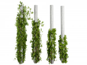 Collection plant vol 518 - blender model 3D Model