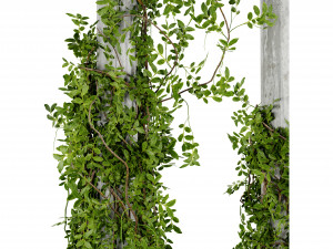 Collection plant vol 518 - blender model 3D Model