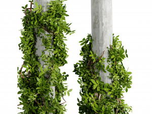 Collection plant vol 518 - blender model 3D Model