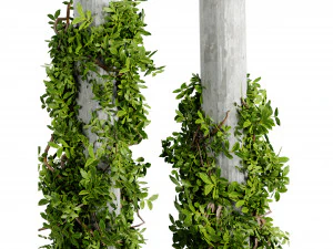Collection plant vol 518 - blender model 3D Model