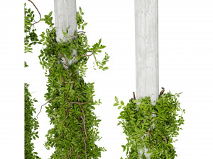 Collection plant vol 518 - blender model 3D Model