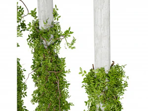 Collection plant vol 518 - blender model 3D Model