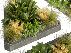 Collection plant vol 519 - garden - pampas - banana - wood 3D Model