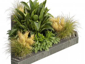 Collection plant vol 519 - garden - pampas - banana - wood 3D Model