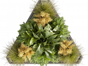 Collection plant vol 519 - garden - pampas - banana - wood 3D Model