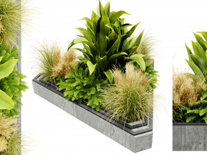 Collection plant vol 519 - blender model Model 3D