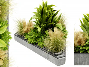 Коллекция растений, том 519 - модель блендера 3D Модель