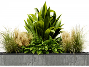 Collection plant vol 519 - blender model 3D Model