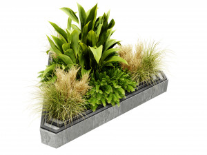 Collection plant vol 519 - blender model Modèle 3D