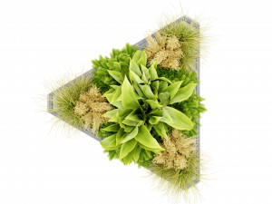 Collection plant vol 519 - blender model Modèle 3D