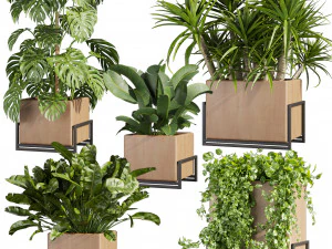 Plante de collection vol 520 - buis - palmier - bureau - pothos Modèle 3D