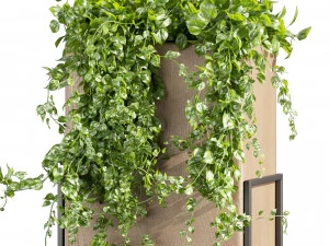Collection plant vol 520 - box - palm - office - pothos 3D Model