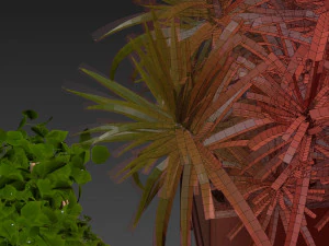 Collection plant vol 520 - box - palm - office - pothos 3D Model