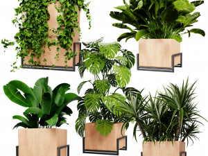Collection plant vol 520 - blende model 3D 모델