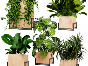 Plante de collection vol 520 - mod&egrave;le blende Modèle 3D