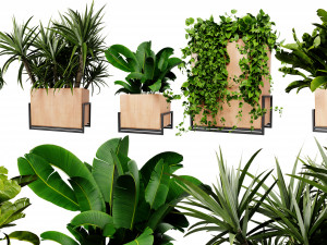Collection plant vol 520 - blende model 3D Model