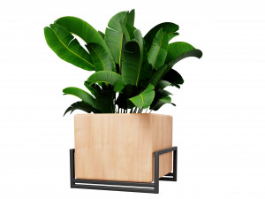 Collection plant vol 520 - blende model 3D Model