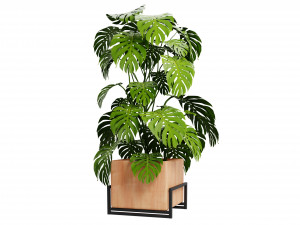 Collection plant vol 520 - blende model 3D Model