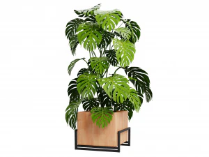 Collection plant vol 520 - blende model 3D Model