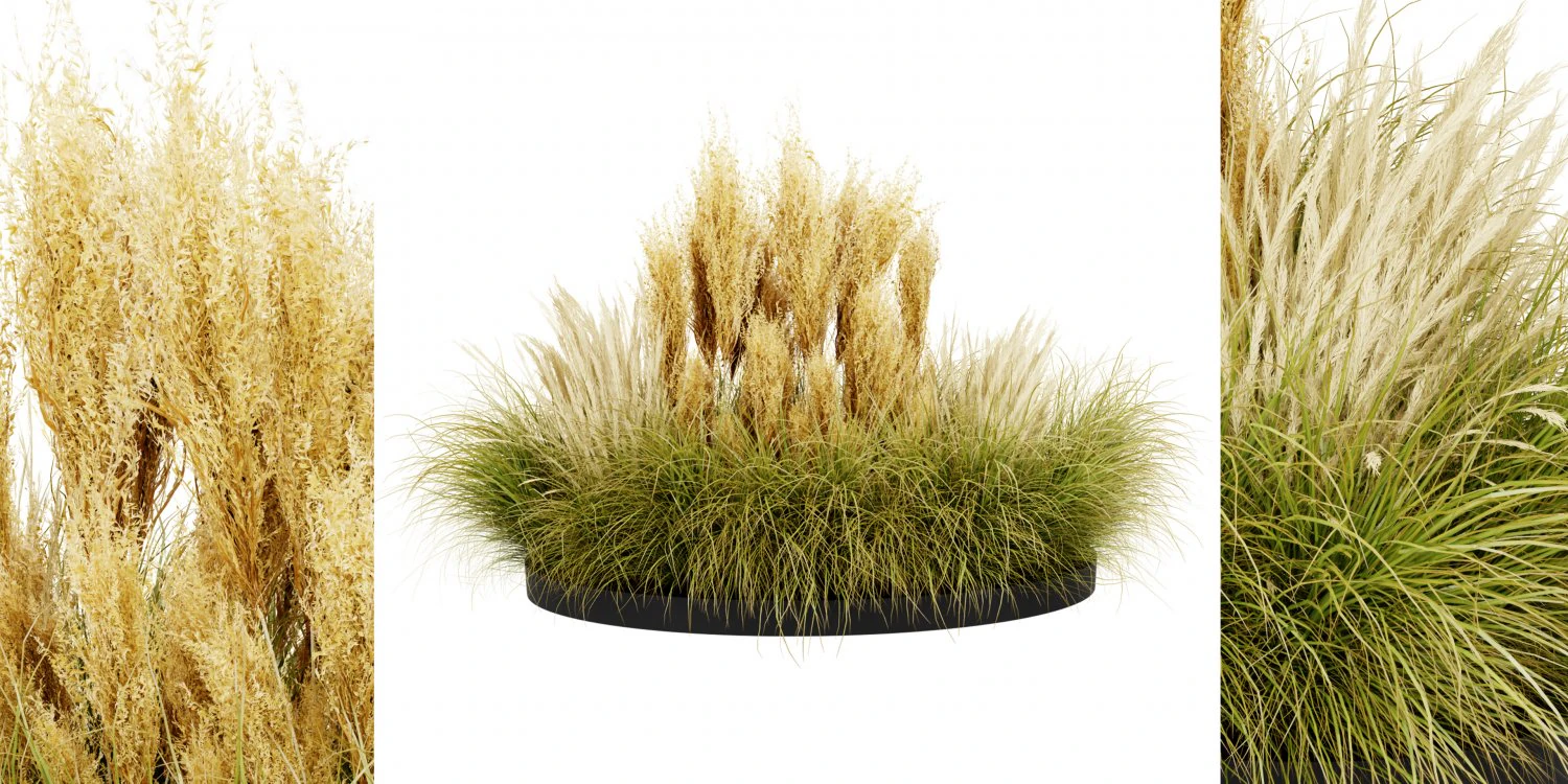 Collection plant vol 521 - blender model 3D Model .c4d .max .obj .3ds .fbx .stl .blend 