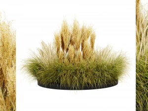 Kolekcja roślin tom 521 - model blendera Model 3D