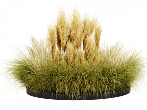 Collection plant vol 521 - blender model 3D Model