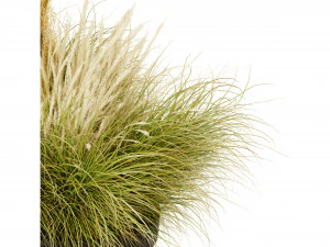 Collection plant vol 521 - blender model 3D Model
