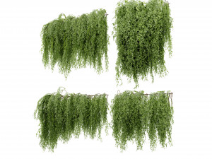 Collection plant vol 522 - blender model 3D 模型