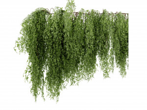 Collection plant vol 522 - blender model 3D 模型