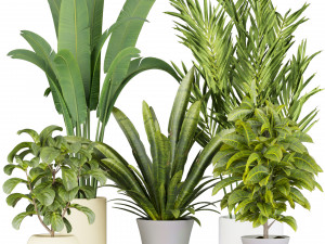 Collection plant vol 524 - banana - hanging - croton - fiddle 3D Model