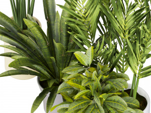 Collection plant vol 524 - banana - hanging - croton - fiddle 3D Модель