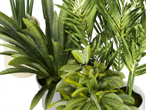 Collection plant vol 524 - banana - hanging - croton - fiddle 3D Model