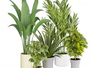 Collection plant vol 524 - banana - hanging - croton - fiddle 3D Model