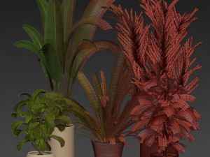 Collection plant vol 524 - banana - hanging - croton - fiddle 3D Модель