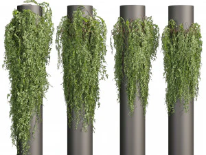 Collection plant vol 524 - banana - hanging - croton - fiddle 3D Model