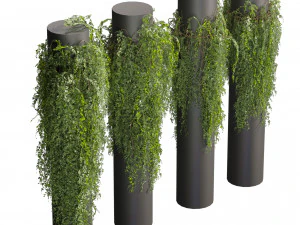 Collection plant vol 524 - banana - hanging - croton - fiddle 3D Model