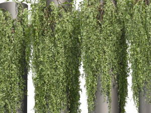 Collection plant vol 524 - banana - hanging - croton - fiddle 3D Model