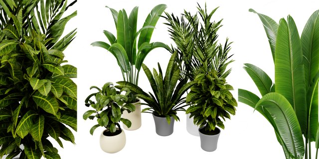 Collection plant vol 524 - blender model Modelo 3D .c4d .max .obj .3ds .fbx .stl .blend 