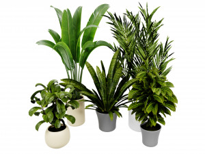 Collection plant vol 524 - blender model Modelo 3D