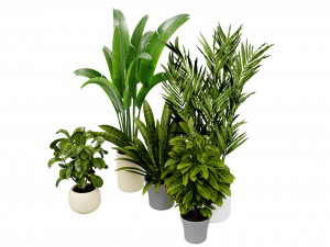 Collection plant vol 524 - blender model Modelo 3D