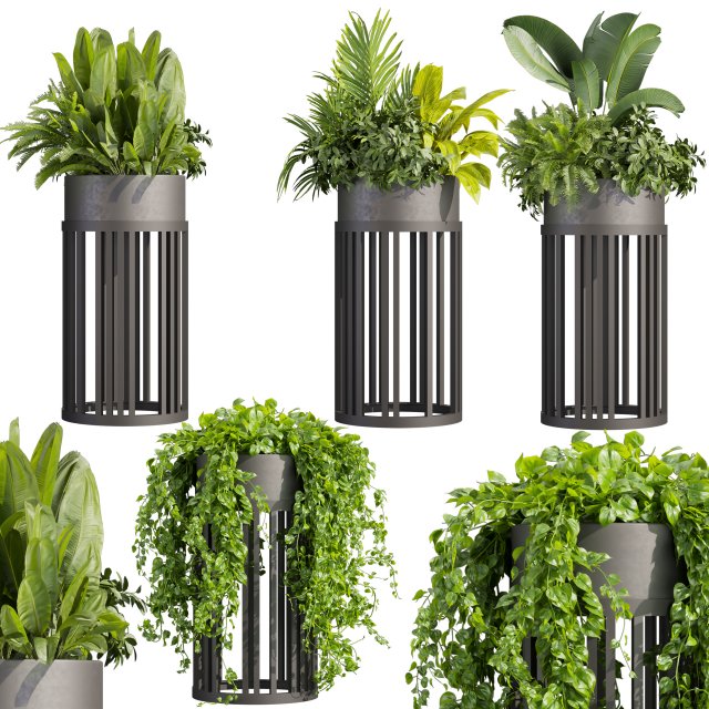 Collection plant vol 525 - circle - palm - office - pothos 3D मॉडल .c4d .max .obj .3ds .fbx .stl .blend