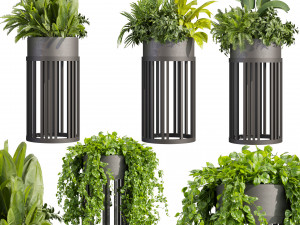 Collection plant vol 525 - circle - palm - office - pothos 3D Модель