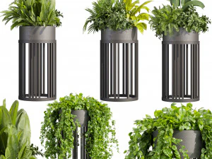 Plante de collection vol 525 - cercle - palmier - bureau - pothos Modèle 3D