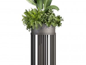 Collection plant vol 525 - circle - palm - office - pothos 3D मॉडल
