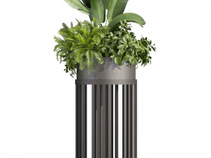 Collection plant vol 525 - circle - palm - office - pothos 3D Model