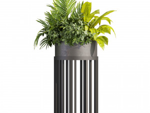 Collection plant vol 525 - circle - palm - office - pothos 3D मॉडल