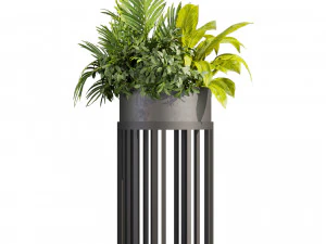 Collection plant vol 525 - circle - palm - office - pothos 3D Model