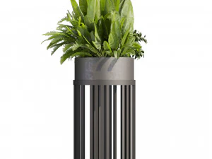 Collection plant vol 525 - circle - palm - office - pothos 3D Model