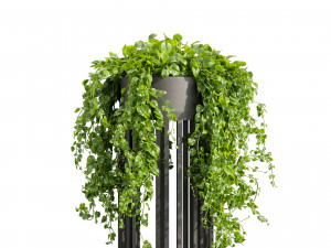 Collection plant vol 525 - circle - palm - office - pothos 3D मॉडल
