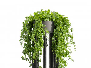 Collection plant vol 525 - circle - palm - office - pothos 3D Model